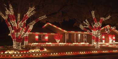 elaborate holiday light installation