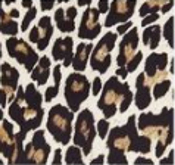leopard animal print
