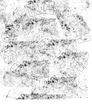 Gilreath Customs