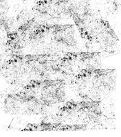 Gilreath Customs