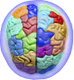 Pediatric and Adult Neuropsychological Evaluations