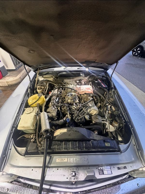 Diesel in petrol Bridgwater