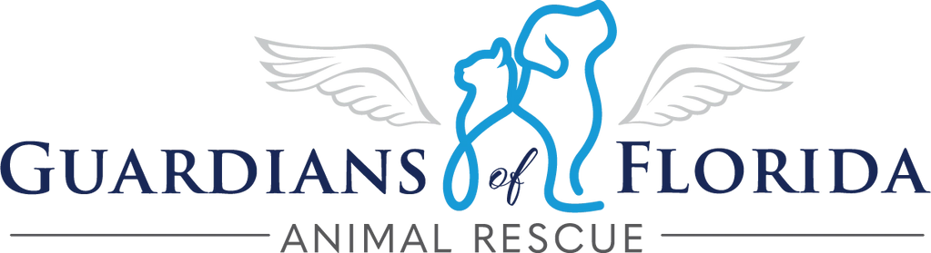 Guardians of Florida Animal Rescue was our primary charity! 