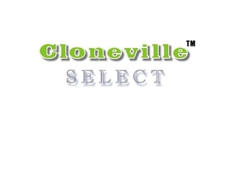 clonevilleselectil.com