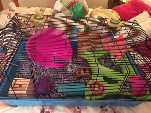 Hamster heaven cage clearance review