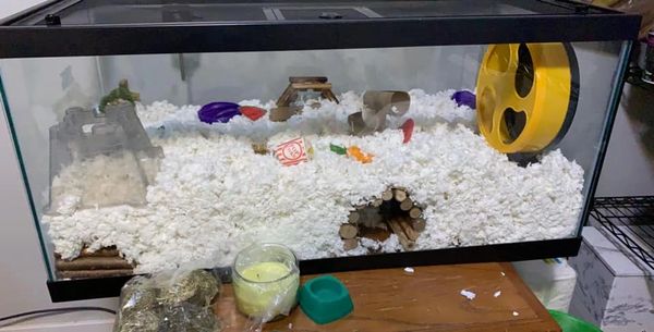 Tank Cages