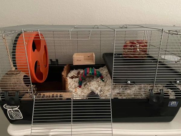 Prevue 528 best sale cage