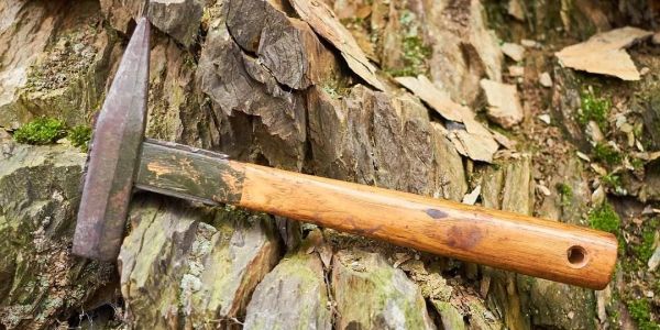A hammer with a wooden handle resting on tree bark.