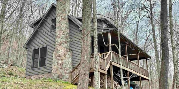 Rustic cabin with stone chimney nestled in a leafless forest.