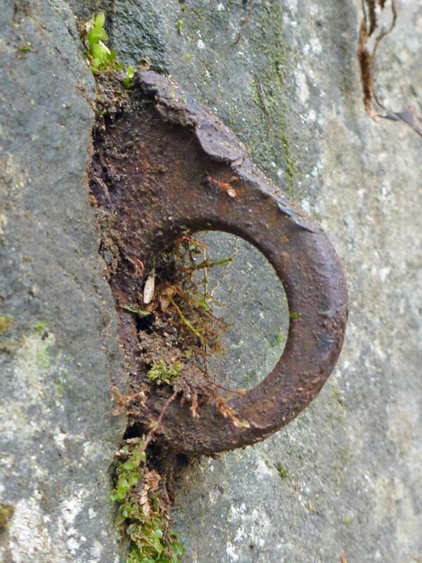 Rusty metal ring embedded in stone with moss.