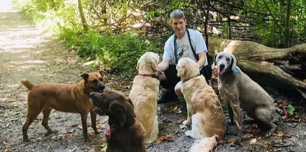 Man squatting with five dogs on a forest pathway in summer