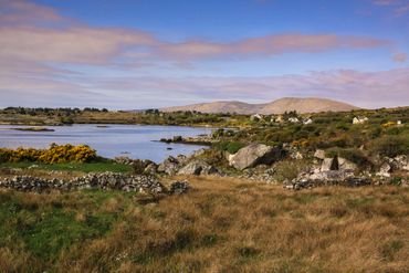 Ireland Landscape