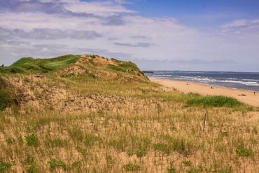 Greenwich National Park PEI