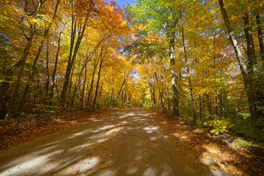 Algonquin Colours