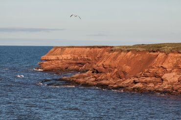 PEI Red Cliffs