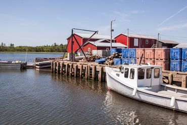 Lobster Fishing wharf PEI