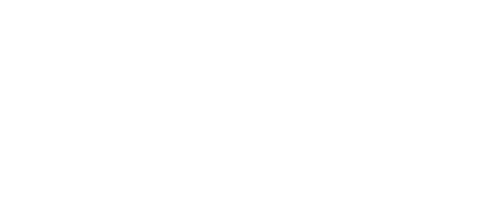 t h e    a r t    m u m m a