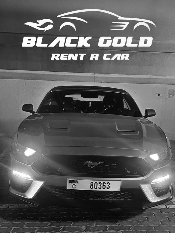 Ford Mustang is Available for Rent