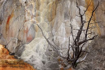 "Orange Mound Spring" Location: Yellowstone National Park, WY; Aspect Ratio 2:3