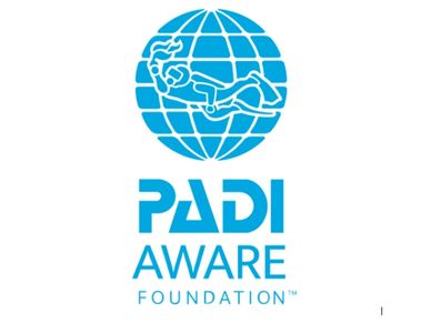 PADI aware logo image