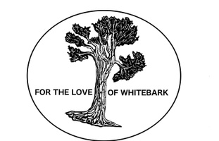 For The Love of Whitebark