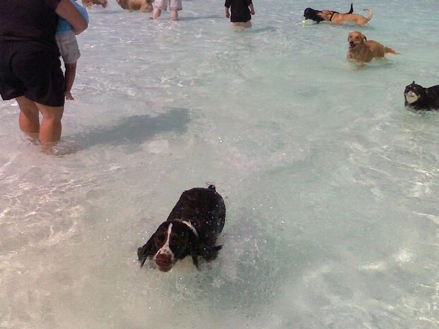 sashia_swim_2007.jpg