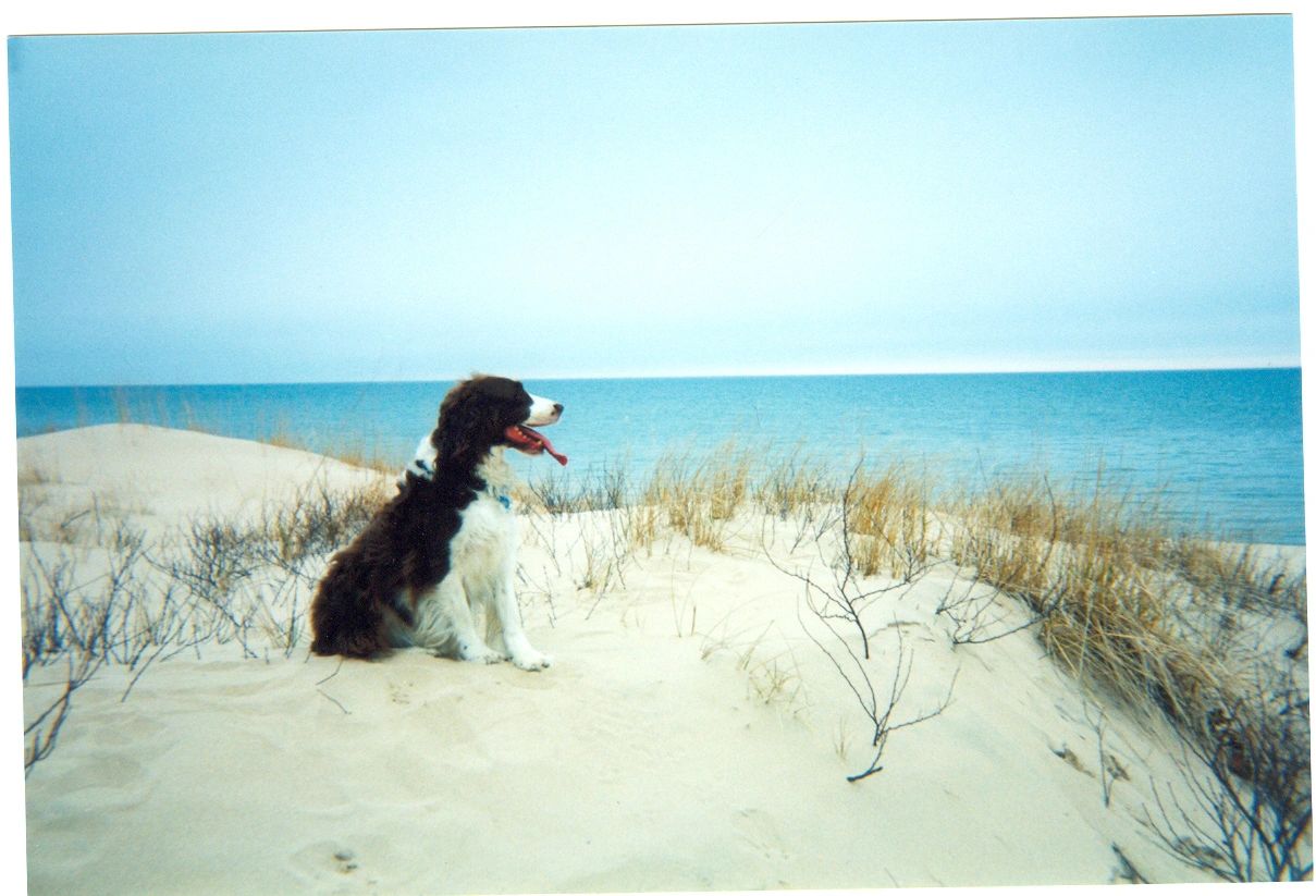 scan0019.jpg