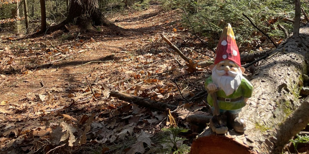 Small gnome statue posed in the woods on a log.