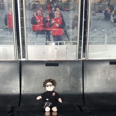 Mascot Harry on the bench for the second test