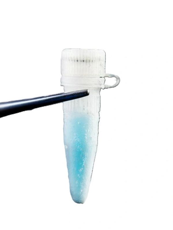 Plastic microcentrifuge tube with blue liquid.