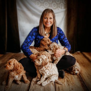 breeder mentor goldendoodle puppies BC Canada ethical responsible best breeder mini golden doodle