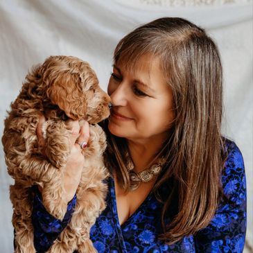 best goldendoodle breeder responsible BC puppies GANA mini F1 F1b golden doodle medium standard love