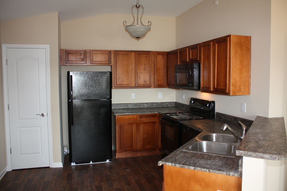 arbors apartments greenville nc flyawaylaxtovannuys