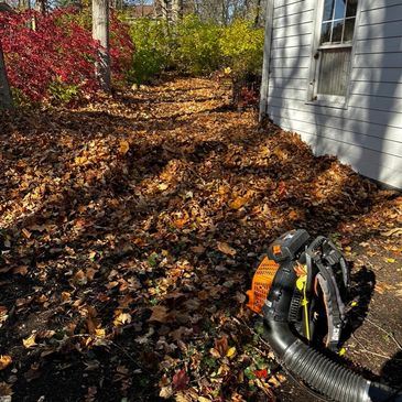 leaf removal, yard clean up, landscaping 