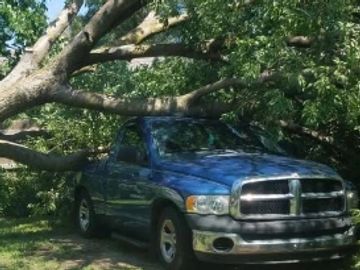 Richardson Tree Service-  careful removal of a storm damaged tree which fell on a pickup