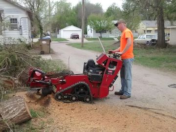 Richardson Tree Service- Stump grinding available