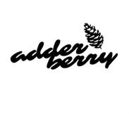 adderberry media




media strategy + more