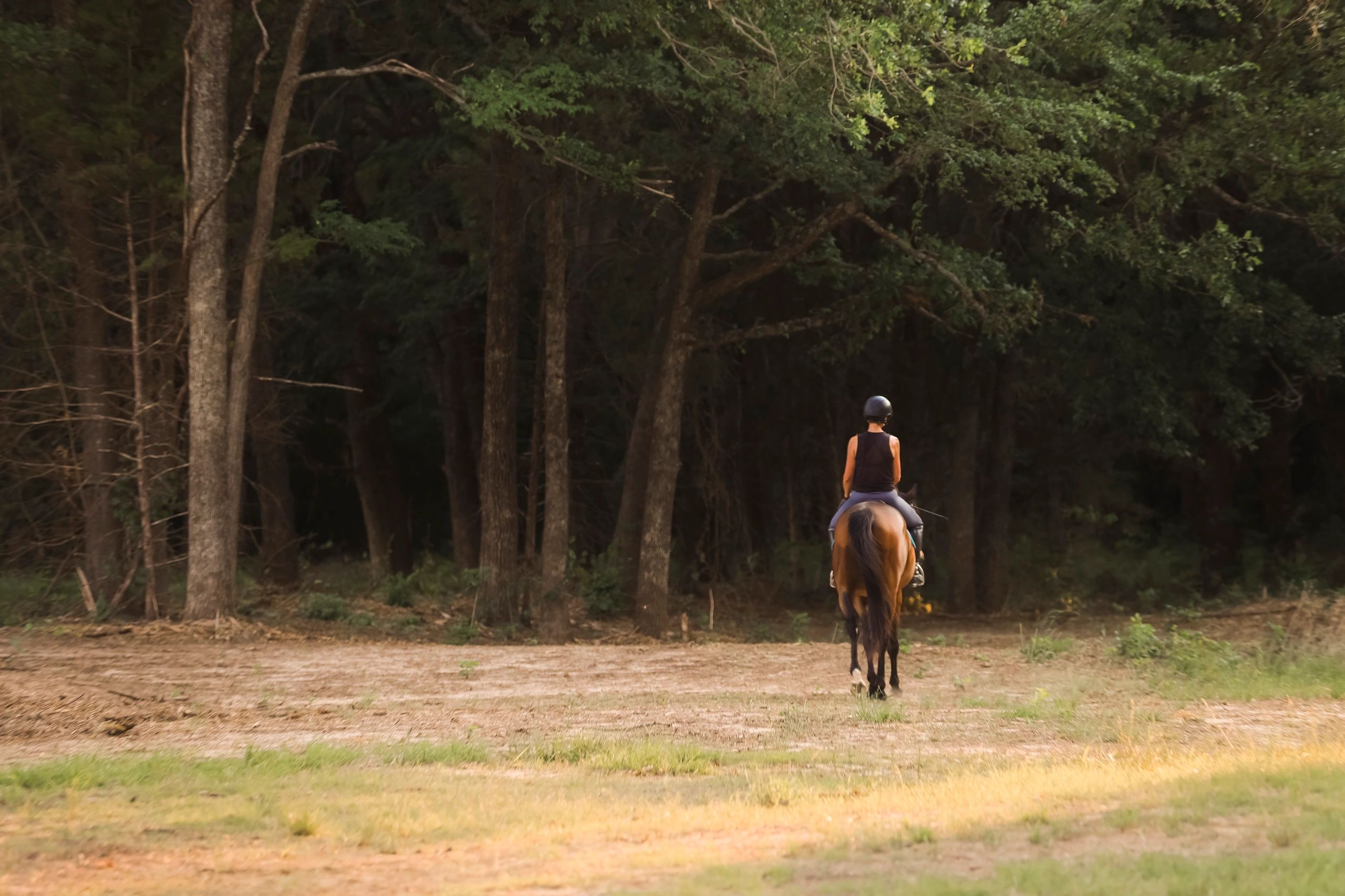 Cottonwood Creek Equestrian