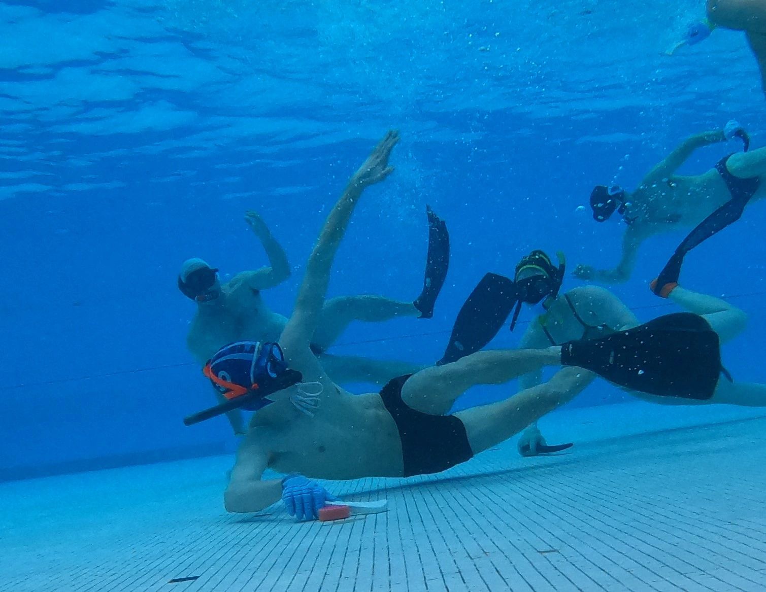 SA Underwater Hockey Underwater Hockey Adelaide, South Australia