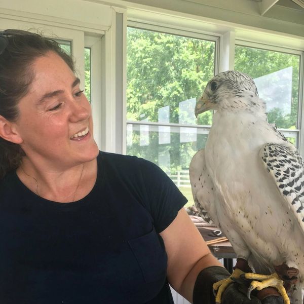 A woman smiling at a large white and black bird perched on her gloved hand.