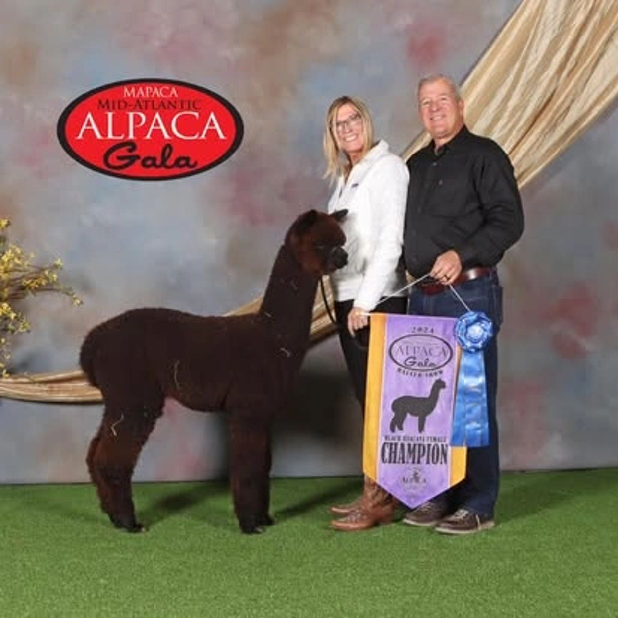 Crimson Skye Alpaca Farm, Schwenksville, PA