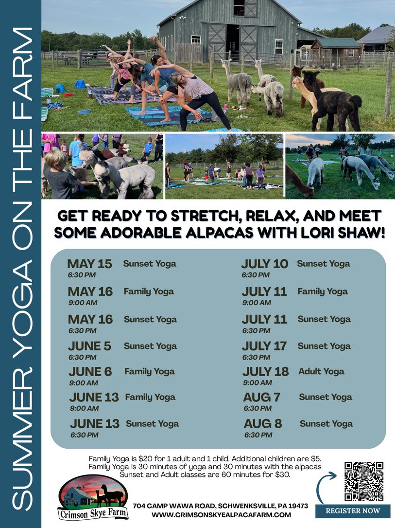 People practicing yoga outdoors with alpacas at Crimson Skye Farm's summer yoga on the farm event.