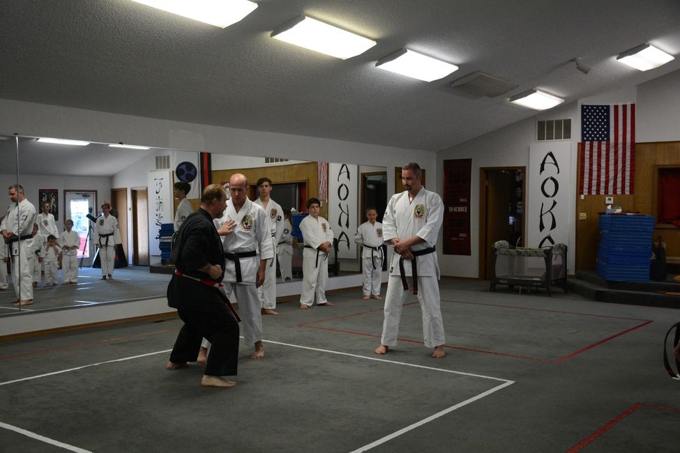 Isshinryu Karate Sandubrae Isshinryu, Karate American Okinawan