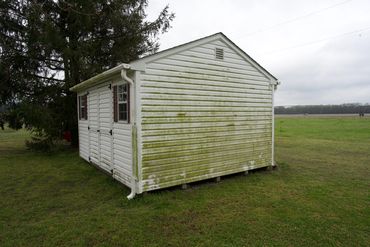 Powerwashing a shed to rid it of algae growth. 