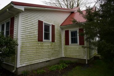 A low pressure powerwashing is all this siding needed to come clean. 