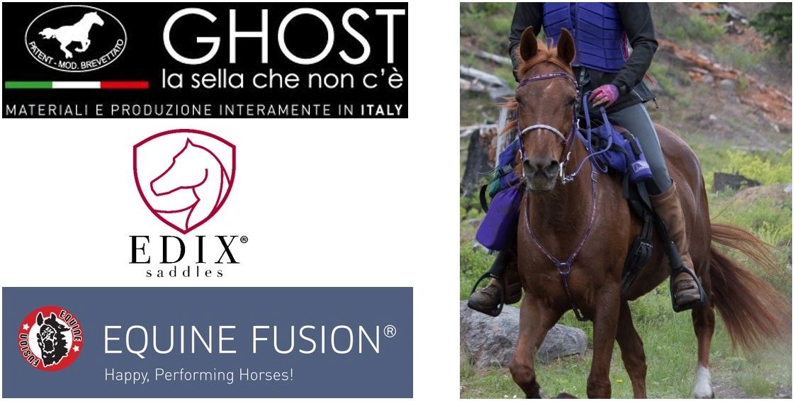 About Edix  Equine Karma - GHOST treeless saddles and Equine Fusion  jogging shoes
