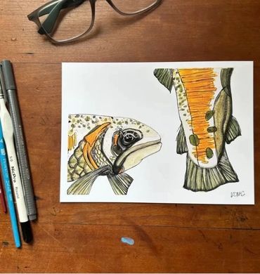 Artistic drawing of a fish on paper with pens and glasses beside it.