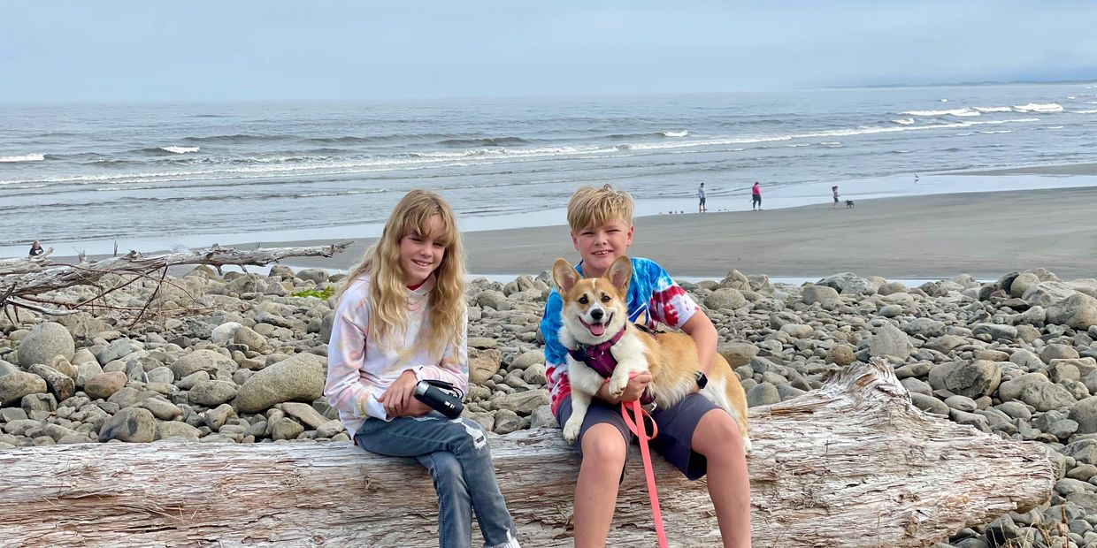 Boy, Girl, and Corgi on beach 