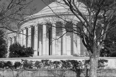 Historic building with large columns behind bare trees.