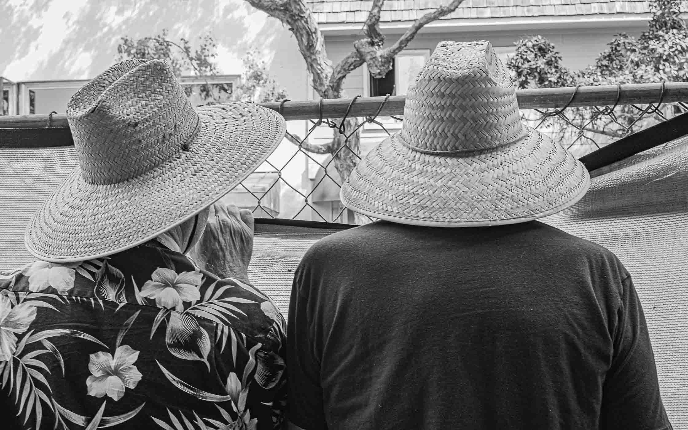 Two people wearing straw hats from behind near a fence.